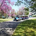 Апартамент Lazzuro 7 *