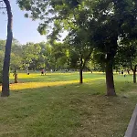 Lazzuro 7 Апартамент *