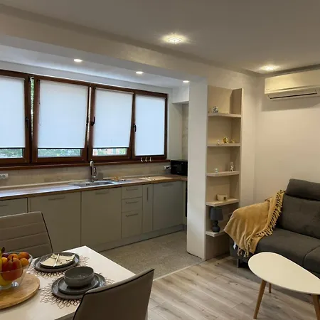 Lazzuro 7 布尔加斯