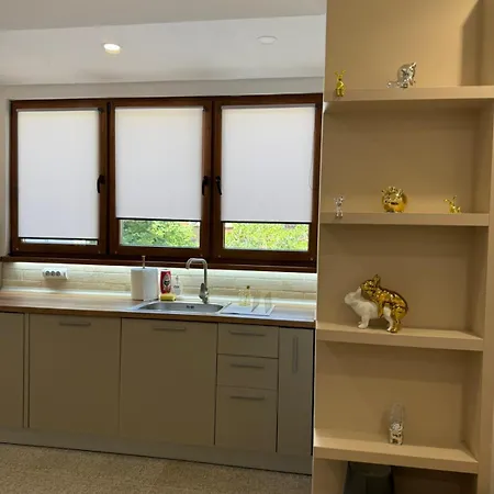 公寓 Lazzuro 7 布尔加斯