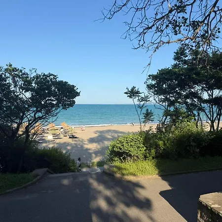 Lazzuro 7 * 布尔加斯